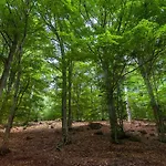 Casale Roccone Вилла