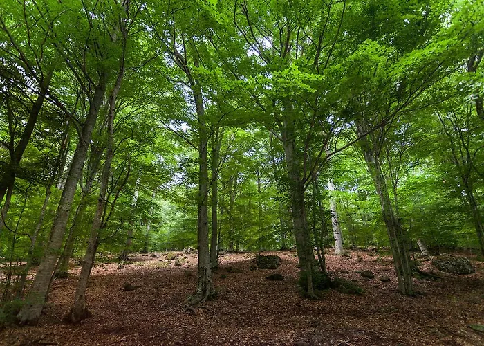 Casale Roccone Willa